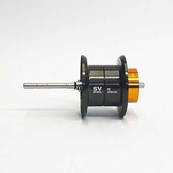 Amazon | 【ダイワ純正】23ソルティスト SV TW 80 PE SPECIAL